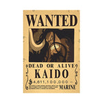Wanted Poster - Kaido